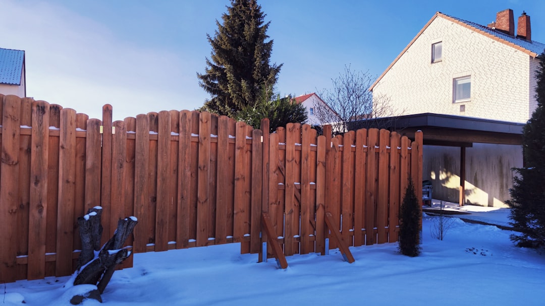 brown-wooden-fence-near-green-tree-under-blue-sky-during-daytime-ocfyqvrqbmu